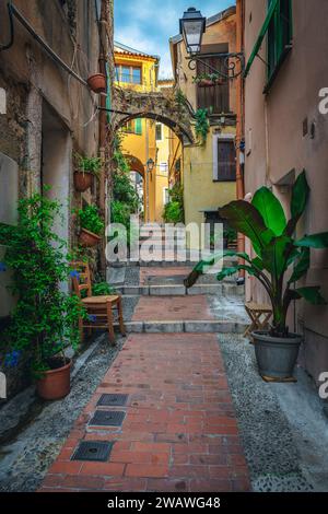 Spektakulärer Blick auf die enge Straße mit geordneten alten bunten Häusern, die mit bunten Blumen und grünen Pflanzen dekoriert sind, Menton, Provence Alpes Cote d Azur, Stockfoto