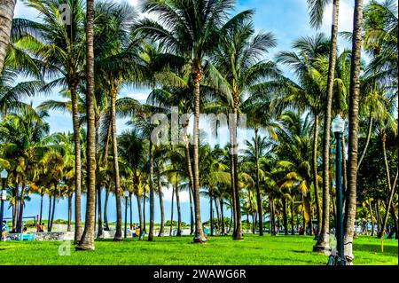 Entdecken Sie den Lummus Park, eine lebendige, 74 Hektar große urbane Oase am berühmten Ocean Drive von Miami Beach. Dieses Juwel am Strand bietet einen malerischen Rückzugsort mit Spielwiese Stockfoto
