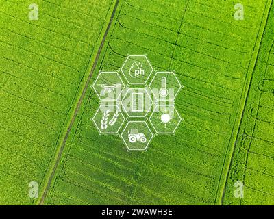 Intelligente Landwirtschaft mit moderner Technologie für nachhaltige Verfahren. Reisfarm. Smart-Farming-Konzept. Nachhaltige Landwirtschaft. Präzisionslandwirtschaft. Stockfoto