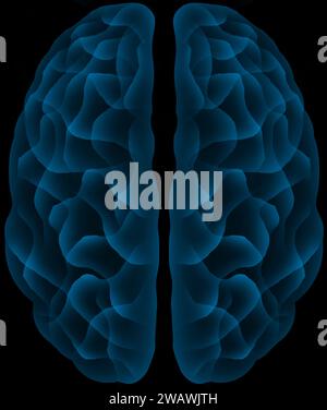 Menschliches Gehirn mit holographischem Neon-Blau-Glühen-futuristischer Draufsicht Stockfoto