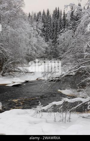 Eine ruhige Winterszene mit einem sich windenden Bach, der von einer Schneedecke umgeben ist, während schneebedeckte Bäume die Ufer säumen Stockfoto