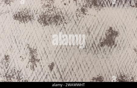 Textur des sandigen Meeresbodens bei Ebbe mit Krabbenlöchern. Ungewöhnlicher Hintergrund für Design. Stockfoto
