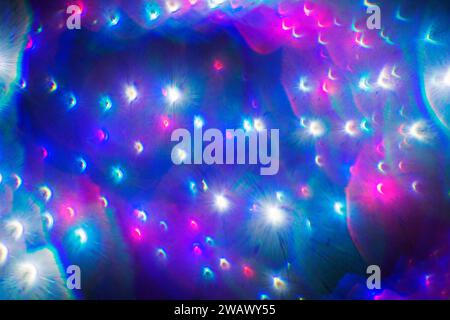 Unscharfe Weihnachtslichter, farbenfrohe Lichter Stockfoto