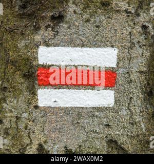 Rote Touristen- oder Wanderwegschilder Symbole auf Baumstamm Stockfoto