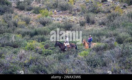 Zwei Gauchos zu Pferd in Patagonien, Argentinien Stockfoto