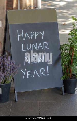 Schilder auf dem Fußweg, vor der Tür eines Ladens, zwischen zwei Topfpflanzen. Auf dem Schild steht: Happy Lunar New Year. Chinesisches Neujahrsgruß. Stockfoto