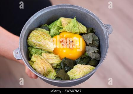 Hausgemachte, gefüllte Paprika und Kohlbrötchen in einem Kessel, bereit für die Zubereitung Stockfoto