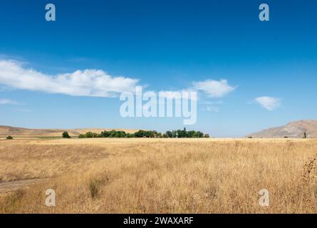 Wunderschöne Berglandschaft im Sommer. Weizenfelder und Berge. Kirgisistan. Natürlicher Hintergrund. Stockfoto