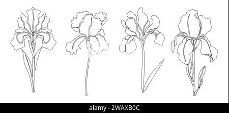 Iris Februar Geburtsmonat Blumen-Linien-Kunstzeichnungen Stock Vektor