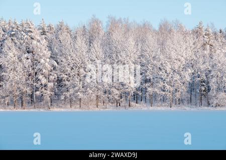 Helsinki / Finnland - 1. JANUAR 2024: Eine wunderschöne finnische Winterszene. Eine schneebedeckte Weide mit einem Wald im Hintergrund. Stockfoto