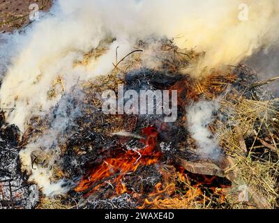 Ein Feuer brennt hell und verbraucht trockene Äste und Gras. Stockfoto