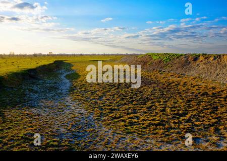 Die karge Landschaft zeigt das Trockenbett eines Teichs und zeigt den freigelegten Boden in einer einsamen Szene. Stockfoto