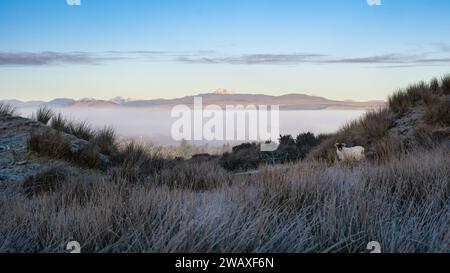 Killearn, Stirling, Schottland, Großbritannien. Januar 2024. Wetter in Großbritannien - eine wunderschöne Morgenwolkenumkehr unter Ben Lomond von den Campsie Fells aus gesehen. Quelle: Kay Roxby/Alamy Live News Stockfoto