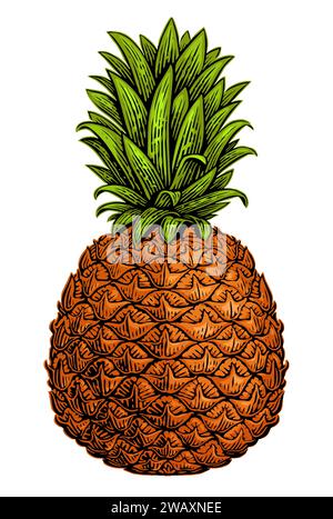 Ananas isoliert auf weißem Hintergrund. Tropische Sommerfrüchte. Bunte Vektorillustration Stock Vektor