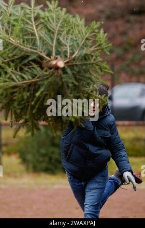 Weidenthal, Deutschland. Januar 2024. Ein Teilnehmer wirft eine Fichte bei der 16. World Christmas Tree Wurwing Championship. Die vom FC Wacker Weidenthal gegründete „Weltmeisterschaft“ findet in einem drei-Wege-Wettbewerb statt: Langwurf, Hochwurf und Schleuderwurf eines etwa 1,50 Meter großen Baumes. Quelle: Uwe Anspach/dpa/Alamy Live News Stockfoto