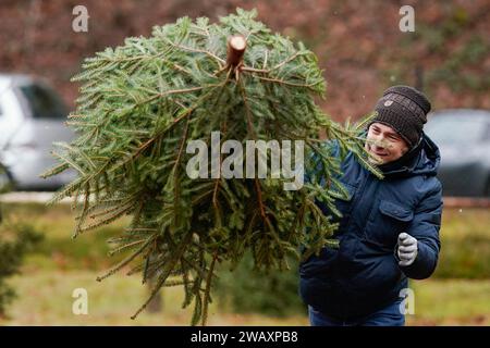 Weidenthal, Deutschland. Januar 2024. Ein Teilnehmer wirft eine Fichte bei der 16. World Christmas Tree Wurwing Championship. Die vom FC Wacker Weidenthal gegründete „Weltmeisterschaft“ findet in einem drei-Wege-Wettbewerb statt: Langwurf, Hochwurf und Schleuderwurf eines etwa 1,50 Meter großen Baumes. Quelle: Uwe Anspach/dpa/Alamy Live News Stockfoto