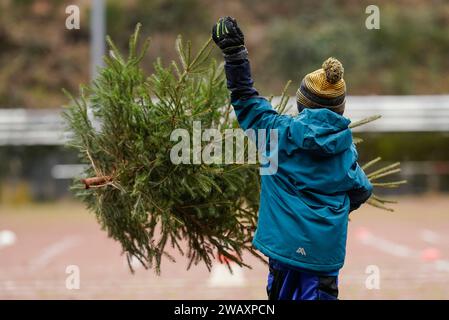 Weidenthal, Deutschland. Januar 2024. Ein Kind wirft eine Fichte bei der 16. Weihnachtsbaumwurfweltmeisterschaft. Die vom FC Wacker Weidenthal gegründete „Weltmeisterschaft“ findet in einem drei-Wege-Wettbewerb statt: Langwurf, Hochwurf und Schleudern eines Baumes von etwa 1,50 Metern. Quelle: Uwe Anspach/dpa/Alamy Live News Stockfoto