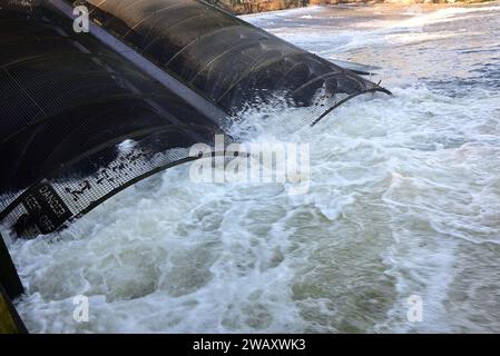 Landy Wasserkraftwerk Archimedes Doppelschneckenturbinen auf dem Dart Wehr bei Totnes bei Hochwasser. Stockfoto