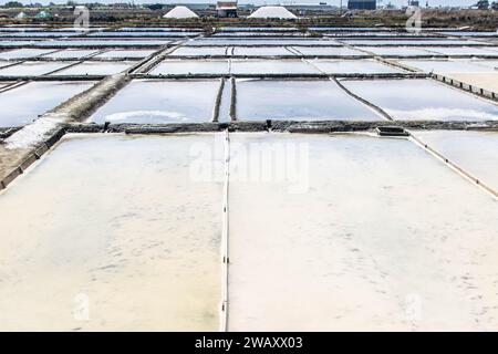 Salinen von Aveiro, bekannt als Salinas de Aveiro, Portugal Stockfoto