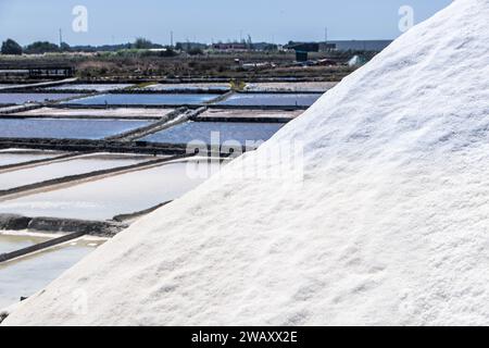 Salinen von Aveiro, bekannt als Salinas de Aveiro, Portugal Stockfoto