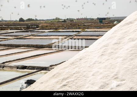 Salinen von Aveiro, bekannt als Salinas de Aveiro, Portugal Stockfoto