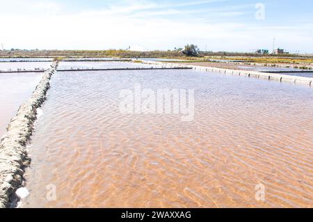 Salinen von Aveiro, bekannt als Salinas de Aveiro, Portugal Stockfoto