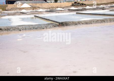 Salinen von Aveiro, bekannt als Salinas de Aveiro, Portugal Stockfoto