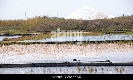 Salinen von Aveiro, bekannt als Salinas de Aveiro, Portugal Stockfoto