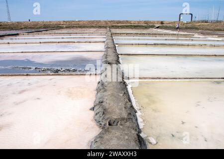 Salinen von Aveiro, bekannt als Salinas de Aveiro, Portugal Stockfoto