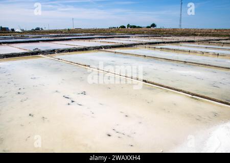 Salinen von Aveiro, bekannt als Salinas de Aveiro, Portugal Stockfoto