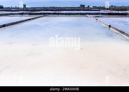 Salinen von Aveiro, bekannt als Salinas de Aveiro, Portugal Stockfoto