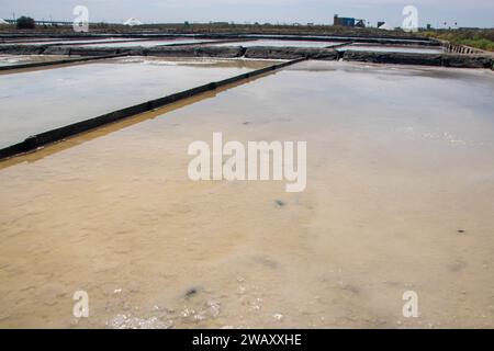 Salinen von Aveiro, bekannt als Salinas de Aveiro, Portugal Stockfoto