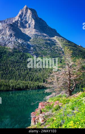 Atemberaubender Blick auf einen Berg, der sich auf St.. Mary Lake im Glacier National Park in Montana Stockfoto