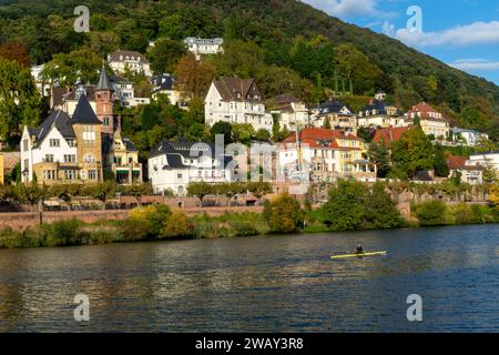 Spaziergang entlang des langen neckars Stockfoto