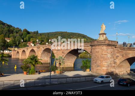 Spaziergang entlang des langen neckars Stockfoto