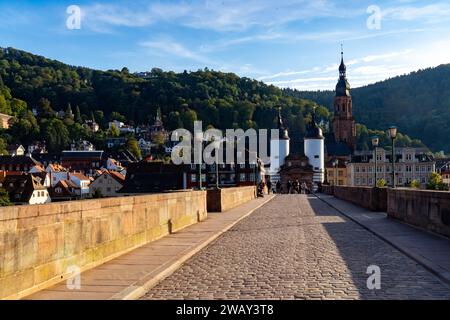 Spaziergang entlang des langen neckars Stockfoto