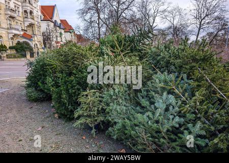 Leipzig - Weihnachtsbaum-Entsorgung nach Weihnachten 07.01.2024 gegen 14 Uhr Leipzig, Stadtgebiet im Foto: Entsorgen Weihnachtsbäume im Januar nach Weihnachten an einem Sammelplatz der Stadtreinigung Leipzig STADT/AUTOBAHN Sachsen Deutschland *** Leipziger Weihnachtsbaumentsorgung nach Weihnachten 07 01 2024 um 14:00 Uhr Leipzig, Stadtgebiet im Foto entsorgte Weihnachtsbäume im Januar nach Weihnachten an einer Sammelstelle der Stadtreinigung Leipzig STADT AUTOBAHN Sachsen Deutschland Copyright: xEHLxMedia/BjörnxStachx 240107 weihnachtsbaum-entsorgung-leipzig 1 Stockfoto