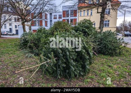 Leipzig - Weihnachtsbaum-Entsorgung nach Weihnachten 07.01.2024 gegen 14 Uhr Leipzig, Stadtgebiet im Foto: Entsorgen Weihnachtsbäume im Januar nach Weihnachten an einem Sammelplatz der Stadtreinigung Leipzig STADT/AUTOBAHN Sachsen Deutschland *** Leipziger Weihnachtsbaumentsorgung nach Weihnachten 07 01 2024 um 14:00 Uhr Leipzig, Stadtgebiet im Foto entsorgte Weihnachtsbäume im Januar nach Weihnachten an einer Sammelstelle der Stadtreinigung Leipzig STADT AUTOBAHN Sachsen Deutschland Copyright: xEHLxMedia/BjörnxStachx 240107 weihnachtsbaum-entsorgung-leipzig 4 Stockfoto