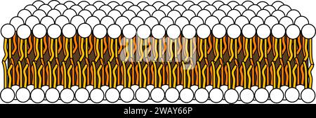 Struktur des Phospholipidmoleküls in der Bilayer .Vektorillustration. Stock Vektor