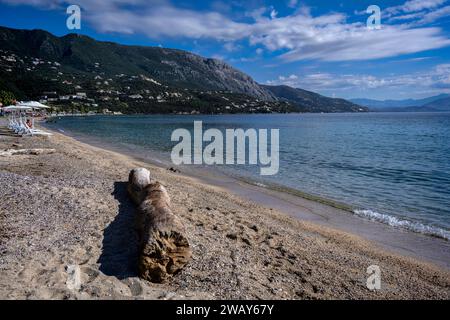 Ypsos Beach, Faiakes, Korfu, Griechenland. Oktober 2022 Stockfoto