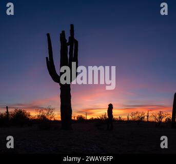 Eine Silhouettenfigur steht bei Sonnenuntergang vor einem orange-rosafarbenen Himmel, vor dem eine opuntielle Kaktuspflanze auf dem Boden liegt Stockfoto