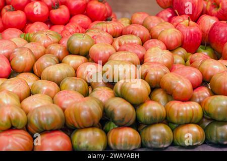 Bio-Tomaten, frisch aus dem valencianischen Garten geerntet und auf dem zentralen Markt verkauft. Stockfoto