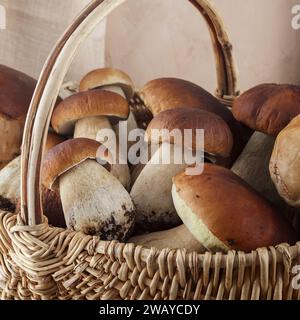 Pilzboletus im Korb. Herbstkäppchen-Pilze. Kochen Sie köstliche Bio-Pilze. Quadratisches Format. Stockfoto