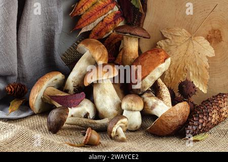 Boletuspilze und verschiedene herbstliche Waldgerichte auf rustikalem Tuch. Ein Stillleben mit Pilzen. Horizontales Foto. Stockfoto