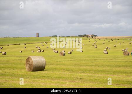 Eine große Anzahl von Heuballen und Stapeln auf einem Feld in England. Stockfoto