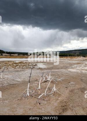 Im Yellowstone-Nationalpark bilden sich Sturmwolken über dem Abfluss von Geysiren Stockfoto