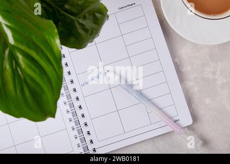 Aisle Ready - Stockfotos für nahtlose Hochzeitsplanung - Sammlung traumhafter Inspirationen - Kalender, Ringe und Blumen, Hochzeitscheckliste. Stockfoto