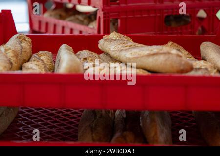 Ein Stapel frischer weißer Bio-Vollkornbaguettes auf einem roten Plastiktablett in einer Lebensmittelbäckerei. Das lange, dünne französische Brot ist knusprig und knusprig Stockfoto