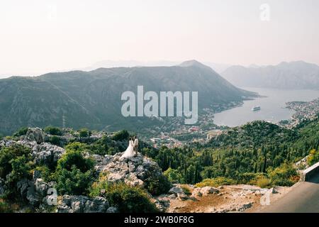 Braut und Bräutigam halten Hände auf einem Felsen über der Bucht von Kotor. Montenegro. Drohne Stockfoto