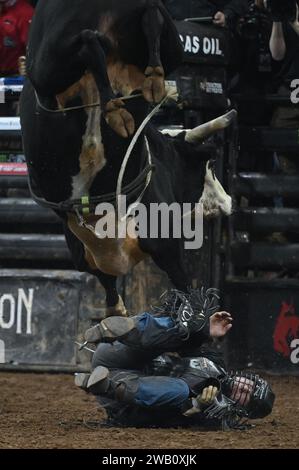 New York, USA. Januar 2024. Der professionelle Bullenreiter Conner Halverson wird von einem Bullen namens „Kodiak“ erwischt, als er am 7. Januar 2024 in Runde 3 von Professional Bullenreiter „PBR Unleash the Beast“ im Madison Square Garden, New York, NY, antritt. (Foto: Anthony Behar/SIPA USA) Credit: SIPA USA/Alamy Live News Stockfoto